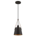 Myhouse Lighting Westinghouse Lighting - 6125300 - One Light Mini Pendant - Pasco - Black-Bronze