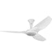 Myhouse Lighting Big Ass Fans - MK-HK4-042400A259F259G10S2 - 52"Ceiling Fan Kit - Haiku - White