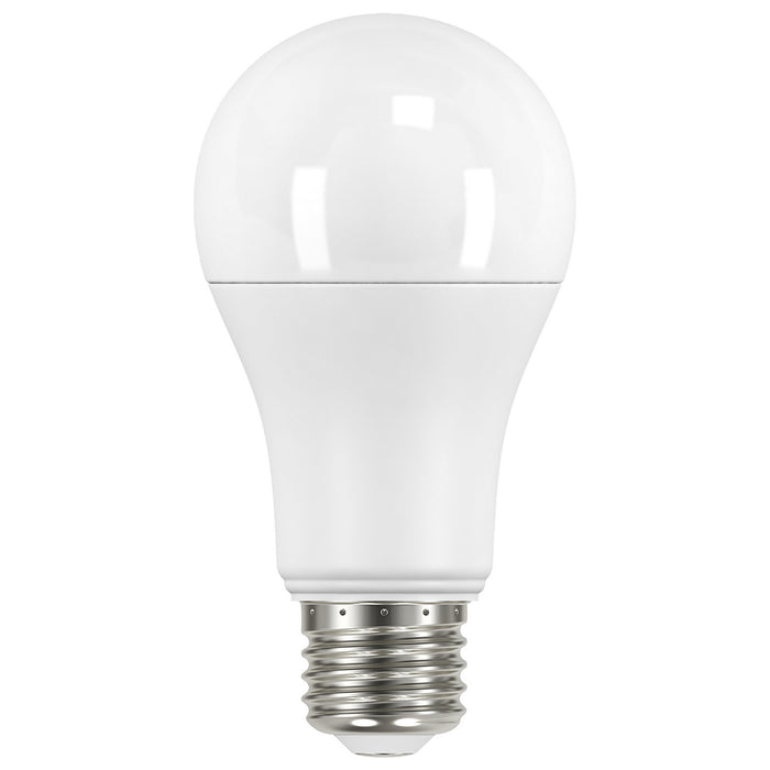 Myhouse Lighting Satco - S11424 - Light Bulb - Frost