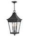 Myhouse Lighting Hinkley - 27092MB - LED Hanging Lantern - Chapel Hill - Museum Black