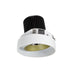 Myhouse Lighting Nora Lighting - NIO-4RTLA40QCHMPW - LED Trimless Adjustable - Rec Iolite - Champagne Haze Adjustable / Matte Powder White Reflector