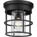 Myhouse Lighting Progress Lighting - P350236-31M - One Light Flush Mount - Burgess - Matte Black