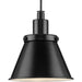 Myhouse Lighting Progress Lighting - P500383-31M - One Light Pendant - Hinton - Matte Black