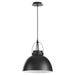 Myhouse Lighting Quorum - 823-59 - One Light Pendant - Picture Lights - Matte Black