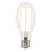 Myhouse Lighting Westinghouse Lighting - 5234100 - Light Bulb - Clear