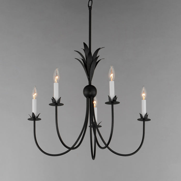 Myhouse Lighting Maxim - 2885AR - Five Light Chandelier - Paloma - Anthracite