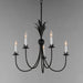 Myhouse Lighting Maxim - 2885AR - Five Light Chandelier - Paloma - Anthracite