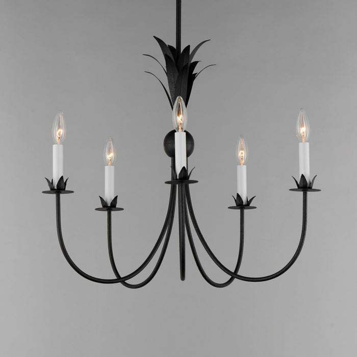 Myhouse Lighting Maxim - 2885AR - Five Light Chandelier - Paloma - Anthracite