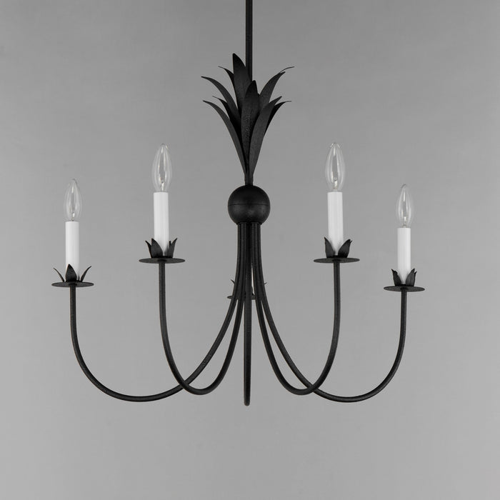 Myhouse Lighting Maxim - 2885AR - Five Light Chandelier - Paloma - Anthracite