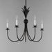 Myhouse Lighting Maxim - 2885AR - Five Light Chandelier - Paloma - Anthracite