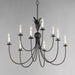 Myhouse Lighting Maxim - 2889AR - Nine Light Chandelier - Paloma - Anthracite