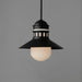Myhouse Lighting Maxim - 35121SWBK - One Light Outdoor Pendant - Admiralty - Black