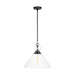 Myhouse Lighting Visual Comfort Studio - CP1031AI - One Light Pendant - Atlantic - Aged Iron