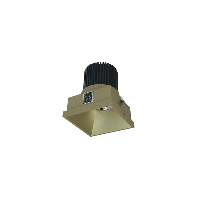 Myhouse Lighting Nora Lighting - NIO-4STLNDC27QCH - LED Trimless Downlight - Rec Iolite - Champagne Haze