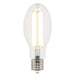 Myhouse Lighting Westinghouse Lighting - 5225100 - Light Bulb - Clear