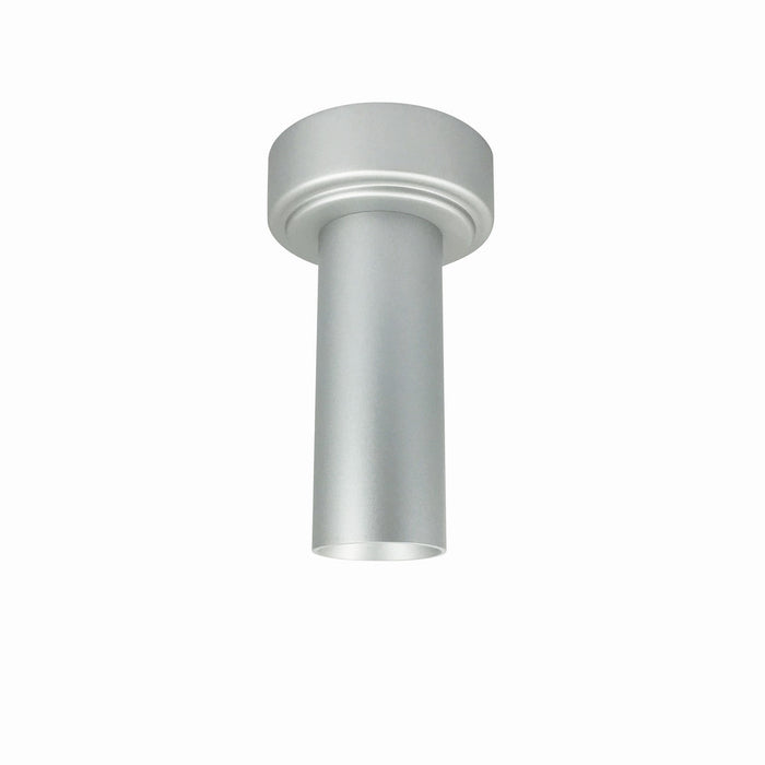 Myhouse Lighting Nora Lighting - NYLM-2SC30XSSLE3A - Surface Mount - Cylinder Ilene - Silver