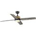 Myhouse Lighting Progress Lighting - P250097-31M-30 - 56"Ceiling Fan - Shaffer Ii - Matte Black