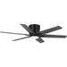 Myhouse Lighting Progress Lighting - P250099-31M-30 - 54"Ceiling Fan - Bexar - Matte Black