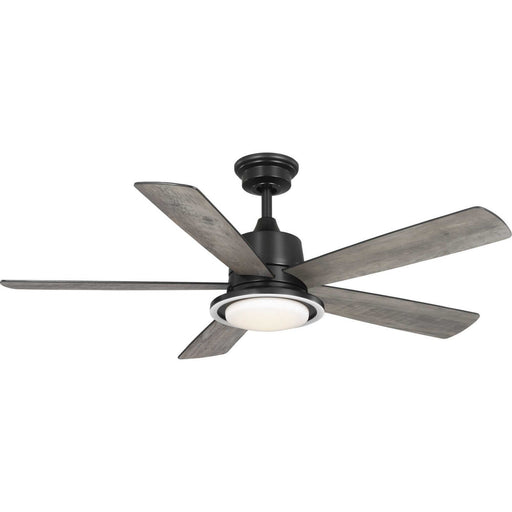 Myhouse Lighting Progress Lighting - P250102-31M-CS - 52"Ceiling Fan - Tarsus - Matte Black