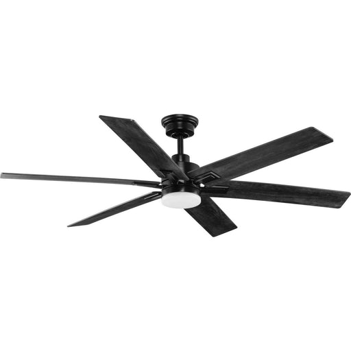 Myhouse Lighting Progress Lighting - P250103-31M-CS - 60"Ceiling Fan - Dallam - Matte Black