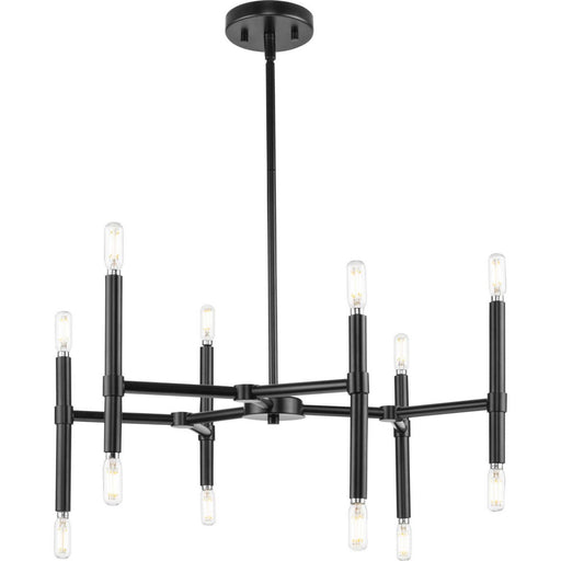 Myhouse Lighting Progress Lighting - P400339-31M - 12 Light Chandelier - Arya - Matte Black