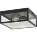 Myhouse Lighting Progress Lighting - P550136-31M - Two Light Outdoor Flush Mount - Parrish - Matte Black