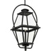 Myhouse Lighting Progress Lighting - P550138-031 - One Light Outdoor Hanging Lantern - Bradshaw - Black