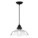 Myhouse Lighting Westinghouse Lighting - 6132200 - One Light Pendant - Iron Hill - Matte Black