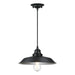 Myhouse Lighting Westinghouse Lighting - 6132300 - One Light Pendant - Iron Hill - Matte Black