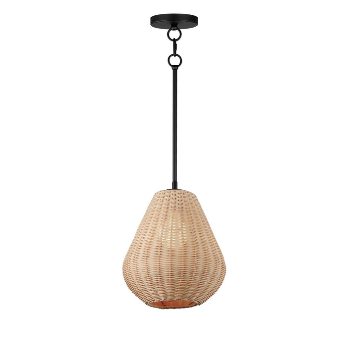 Myhouse Lighting Maxim - 12602NABK - LED Pendant - Maldives - Black