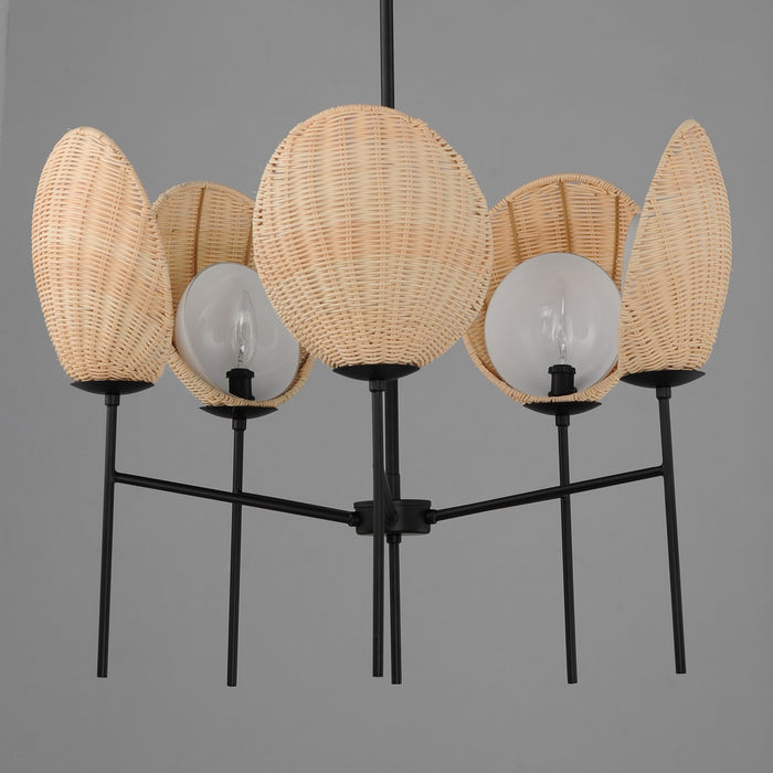 Myhouse Lighting Maxim - 12605NABK - Five Light Chandelier - Maldives - Black