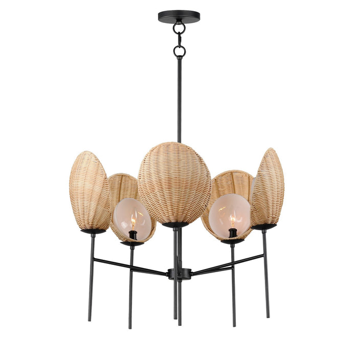 Myhouse Lighting Maxim - 12605NABK - Five Light Chandelier - Maldives - Black