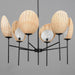 Myhouse Lighting Maxim - 12606NABK - Six Light Chandelier - Maldives - Black