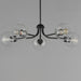 Myhouse Lighting Maxim - 21635CLBK - Five Light Chandelier - Knox - Black