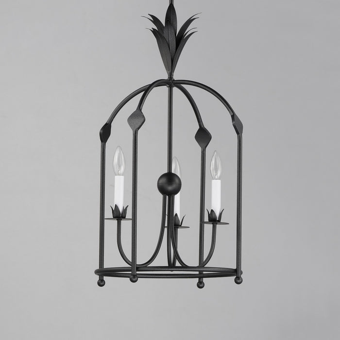 Myhouse Lighting Maxim - 2884AR - Three Light Foyer Pendant - Paloma - Anthracite