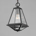 Myhouse Lighting Maxim - 30569CLBK - One Light Pendant - Prism - Black