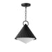 Myhouse Lighting Maxim - 35131WTBK - One Light Pendant - Odette - Black