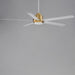 Myhouse Lighting Maxim - 88826WTNAB - 60"Ceiling Fan - Daisy - Natural Aged Brass