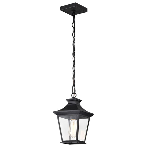 Myhouse Lighting Nuvo Lighting - 60-5746 - One Light Outdoor Hanging Lantern - Jasper - Matte Black