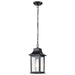 Myhouse Lighting Nuvo Lighting - 60-5958 - One Light Outdoor Hanging Lantern - Stillwell - Matte Black