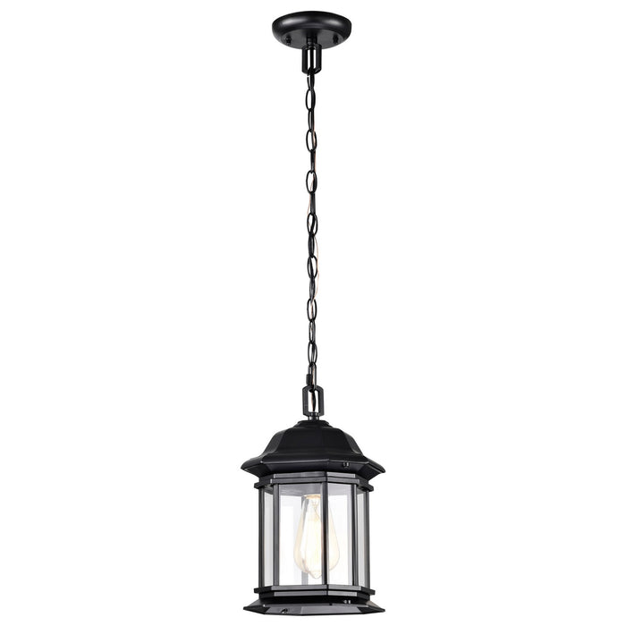 Myhouse Lighting Nuvo Lighting - 60-6117 - One Light Outdoor Hanging Lantern - Hopkins - Matte Black