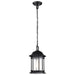 Myhouse Lighting Nuvo Lighting - 60-6117 - One Light Outdoor Hanging Lantern - Hopkins - Matte Black