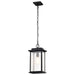 Myhouse Lighting Nuvo Lighting - 60-7377 - One Light Outdoor Hanging Lantern - Sullivan - Matte Black