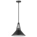 Myhouse Lighting Nuvo Lighting - 60-7645 - One Light Pendant - Zelda - Black