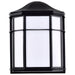 Myhouse Lighting Nuvo Lighting - 62-1397 - LED Cage Lantern Fixture - Black