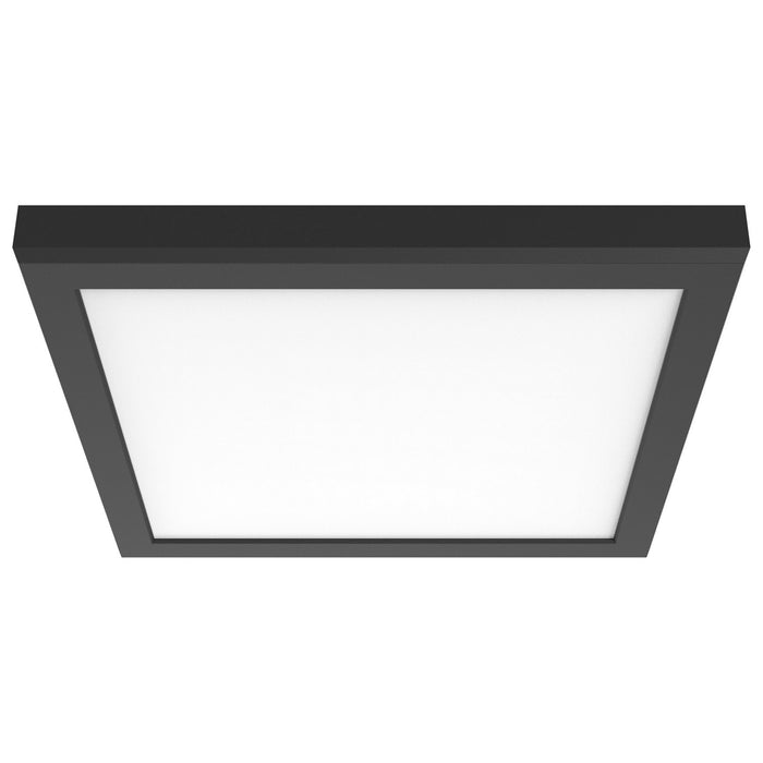 Myhouse Lighting Nuvo Lighting - 62-1789 - LED Surface Mount - Black