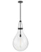 Myhouse Lighting Hinkley - 46054BK - LED Pendant - Eloise - Black