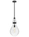 Myhouse Lighting Hinkley - 46057BK - LED Pendant - Eloise - Black