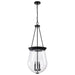 Myhouse Lighting Nuvo Lighting - 60-7803 - Three Light Pendant - Boliver - Matte Black