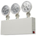 Myhouse Lighting Nuvo Lighting - 67-133 - Utility - Emergency Lights